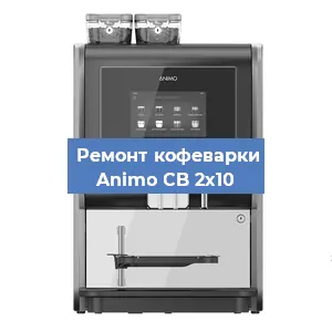 Чистка кофемашины Animo CB 2x10 от накипи в Нижнем Новгороде